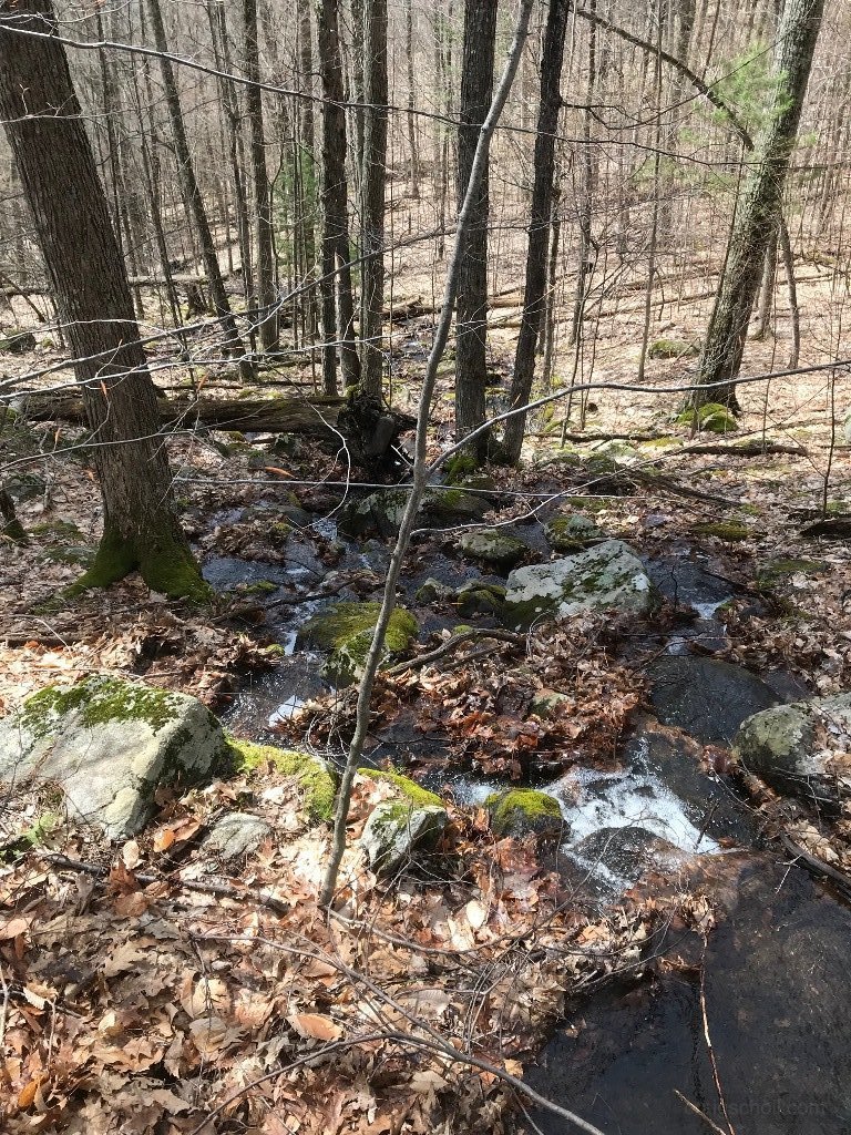 IMG_0225.jpg