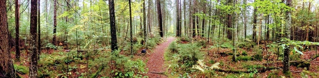 IMG_1258.jpg