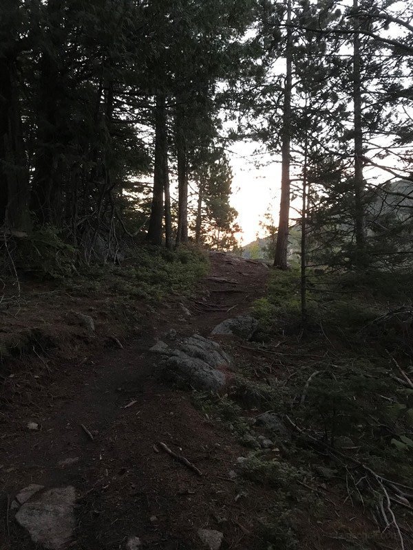 IMG_3334.JPG