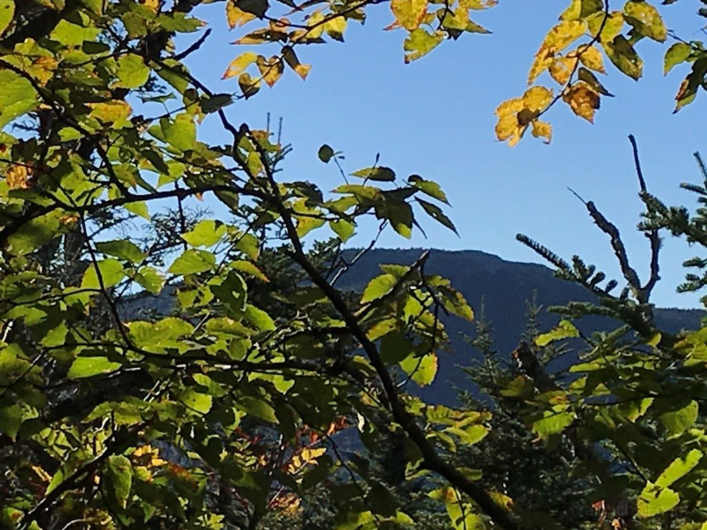 IMG_3569.JPG