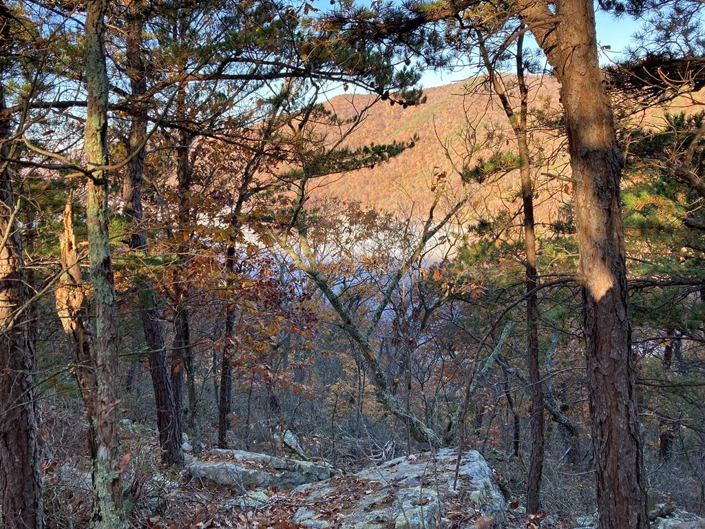 IMG_4175.jpg
