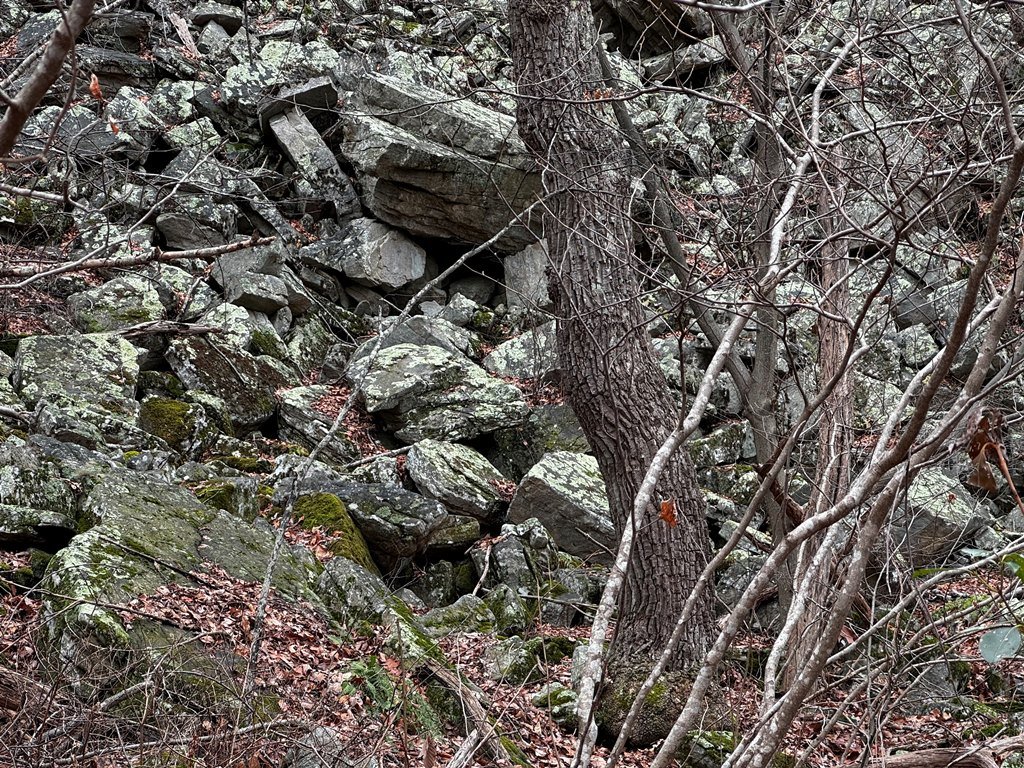 IMG_5880.jpg