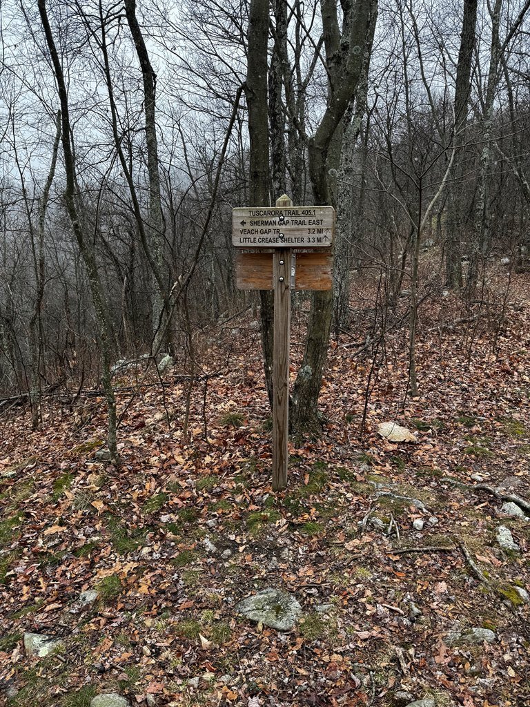 IMG_5901.jpg