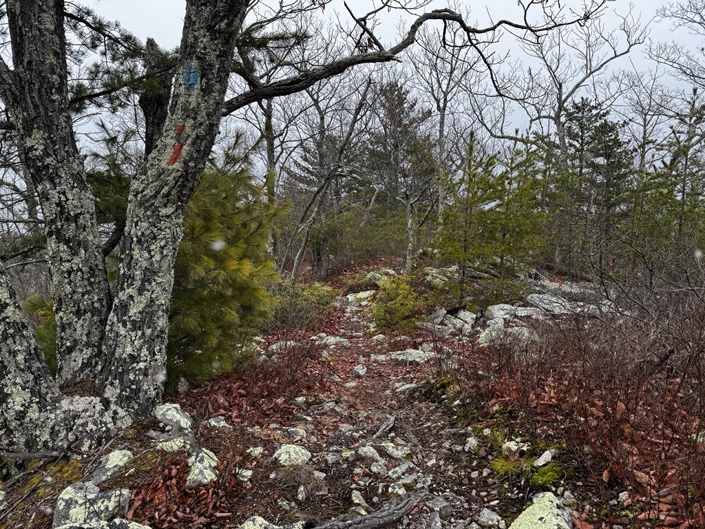 IMG_5906.jpg