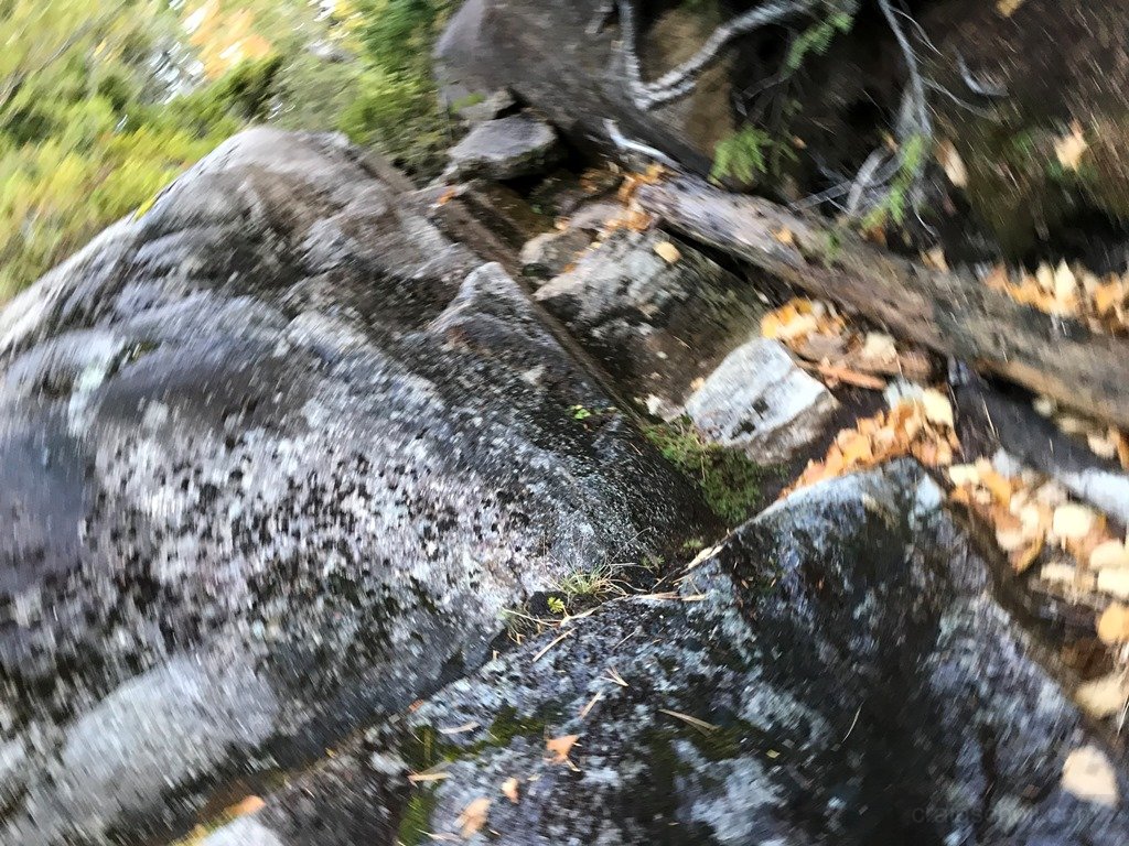 In motion