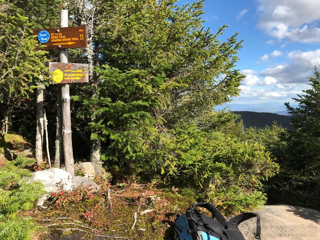 Junction break
