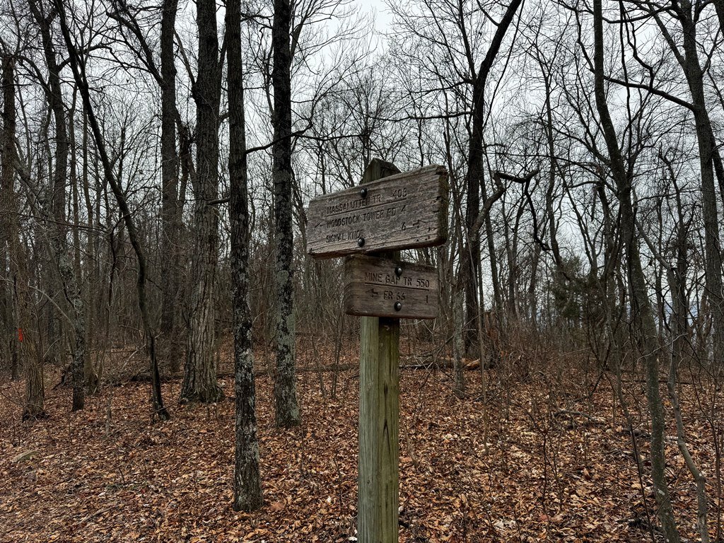 Junction With Mine Gap Trail
