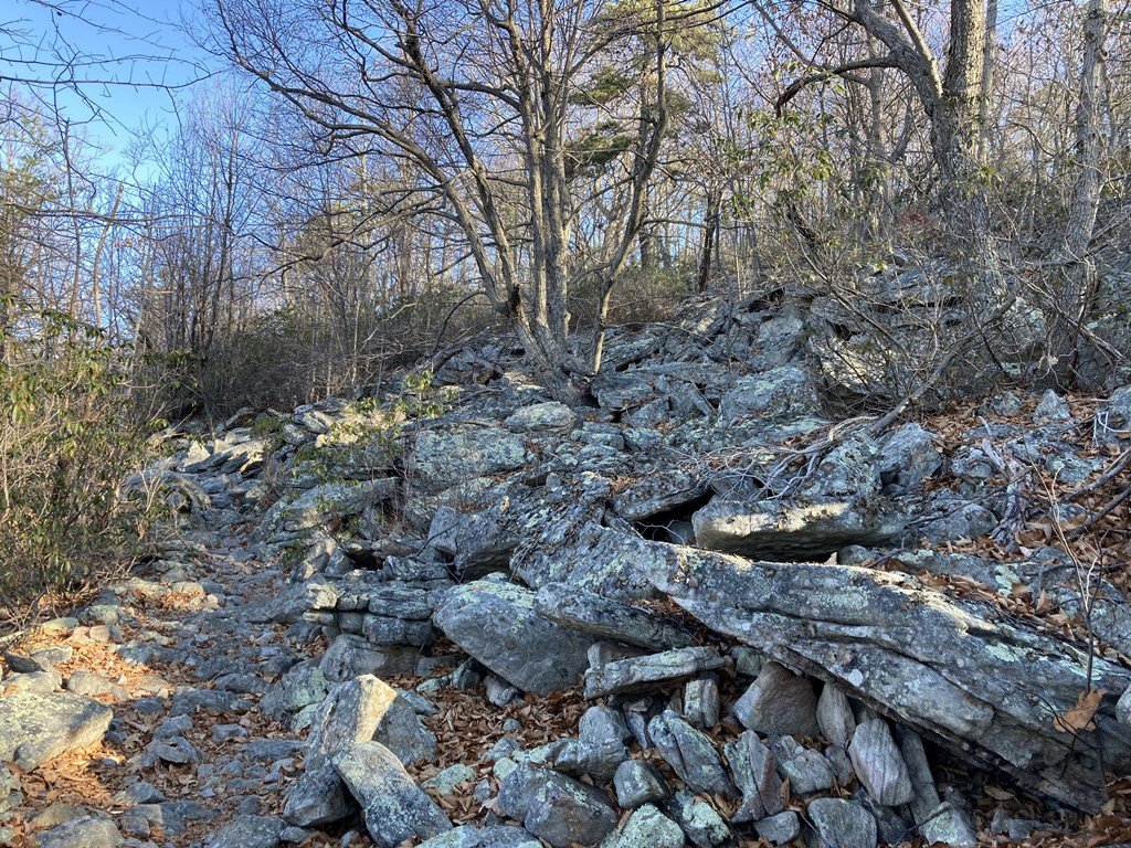 Last rock garden