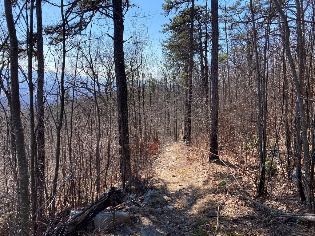 ledge trail