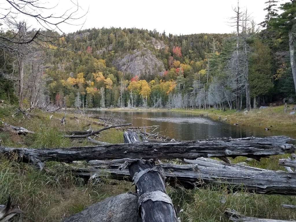 Log jam