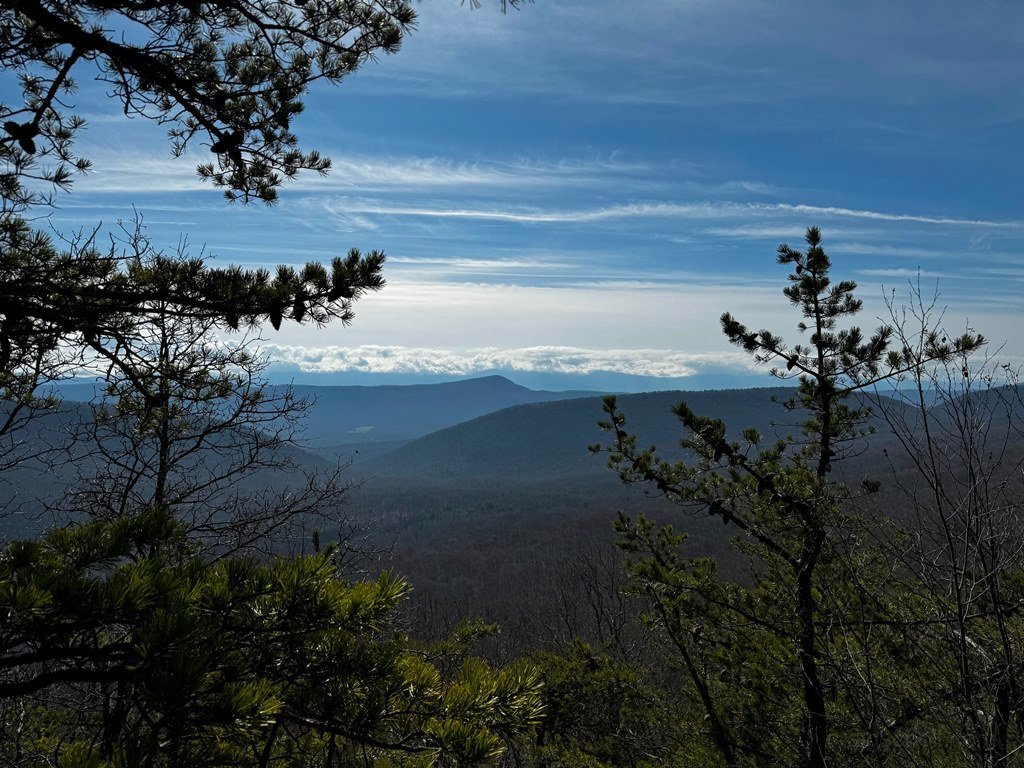 Looking East Towards Fort Valley.jpg