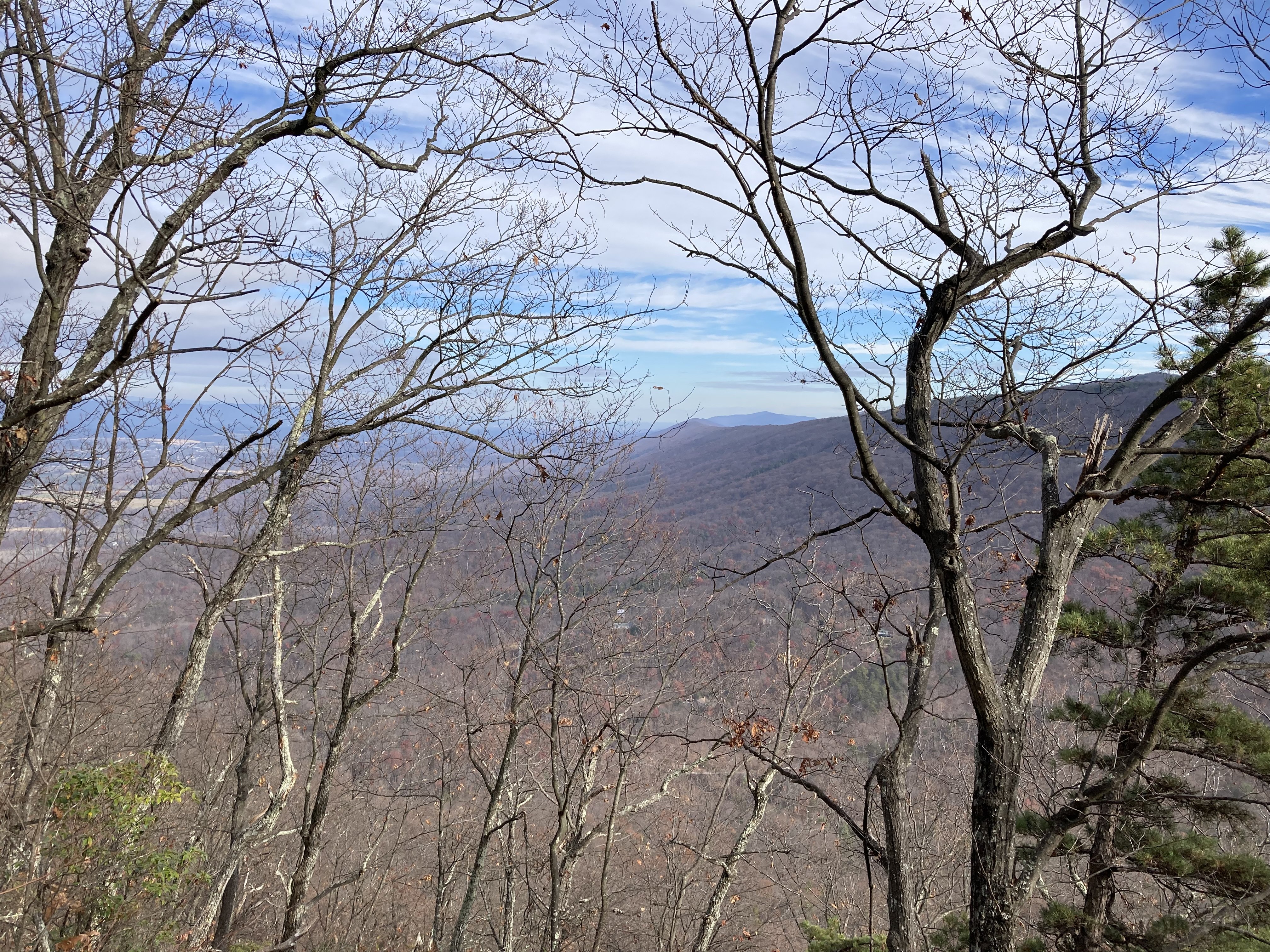 Looking north