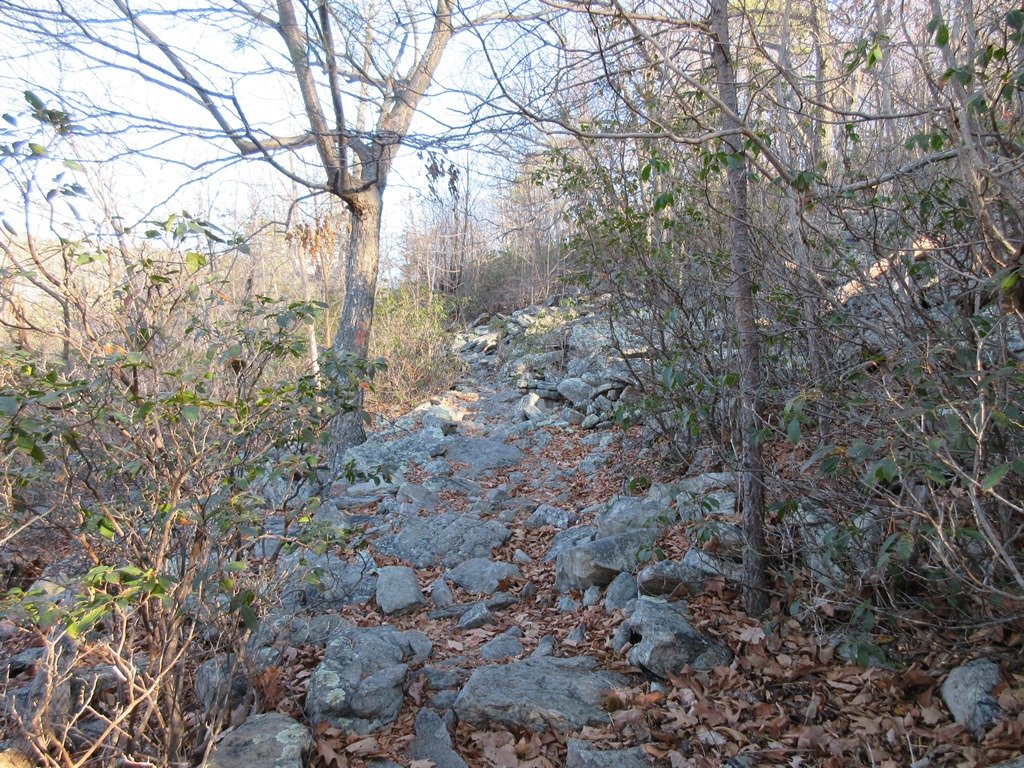 More rock garden