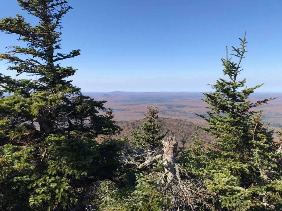 More views W