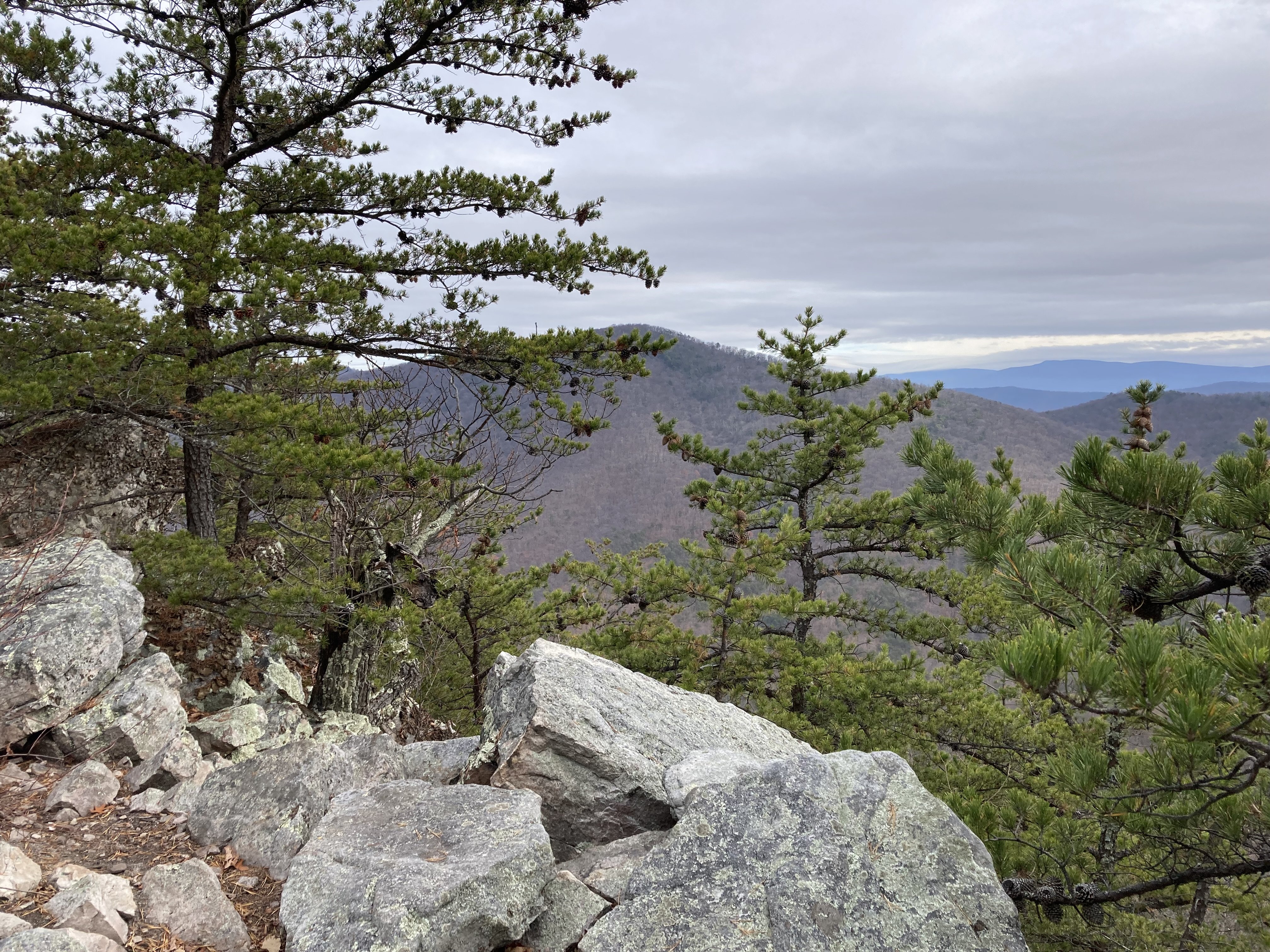 More views