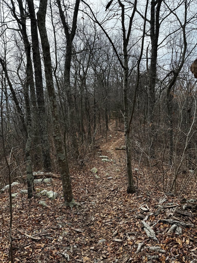 Narrow Section