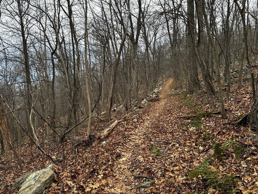 Nice Trail