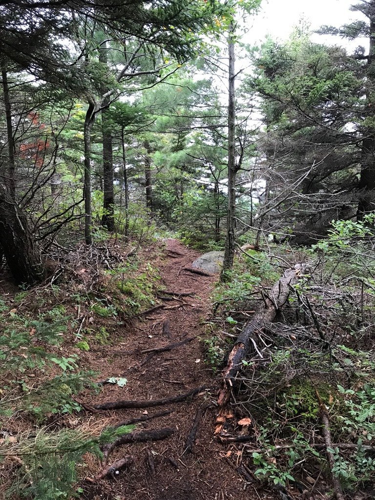 On the ridge