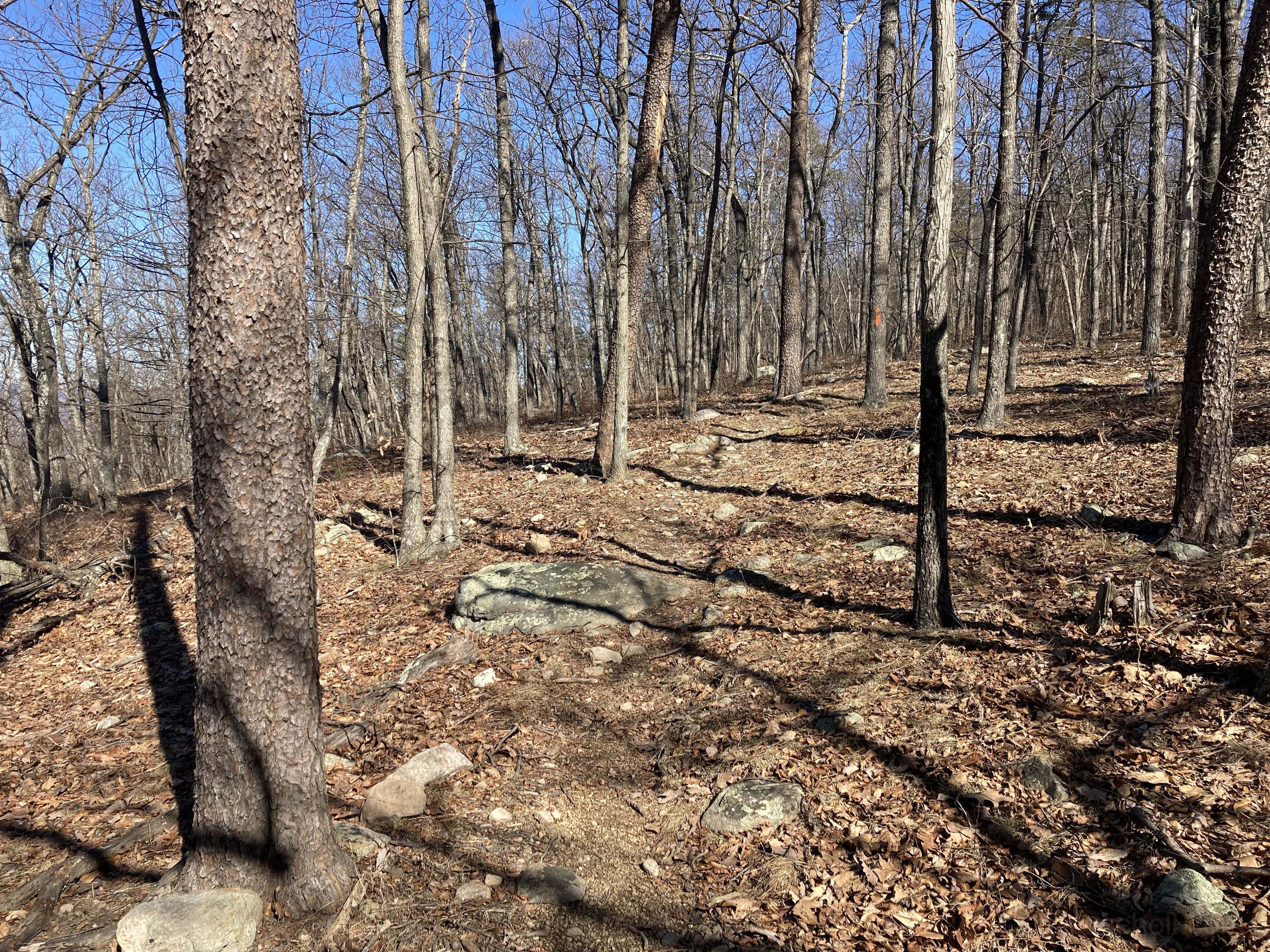 Open trail