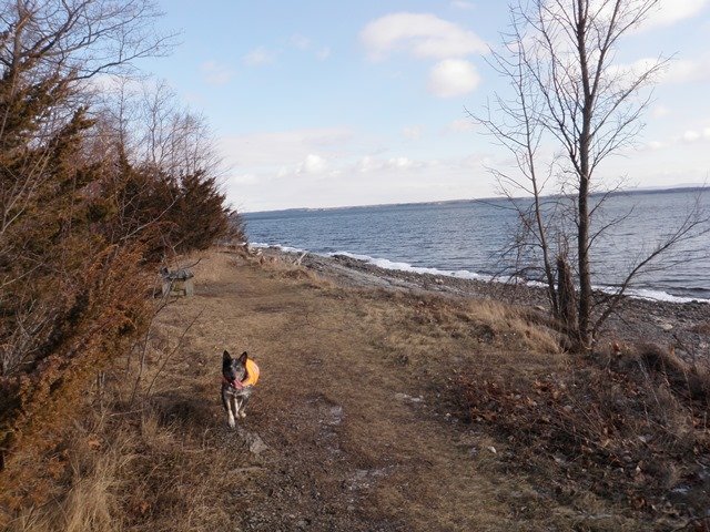 P1010001.jpg