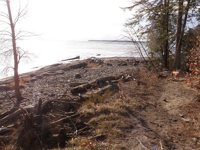 P1010006.jpg