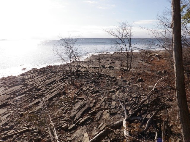 P1010011.jpg