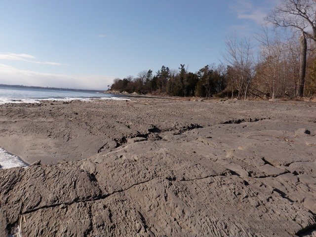 P1010012.jpg