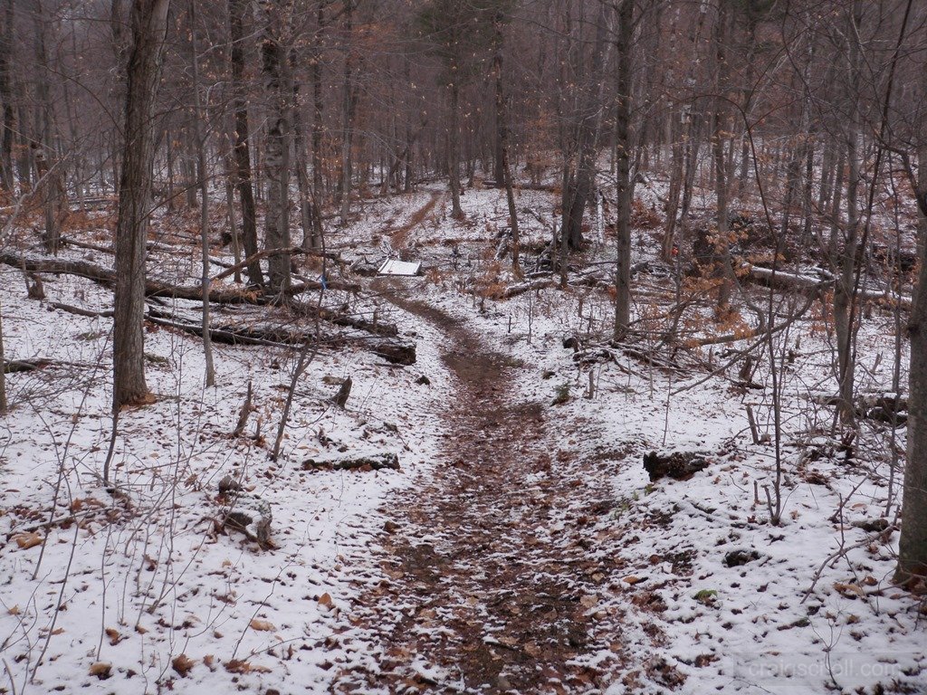 P1010015.jpg