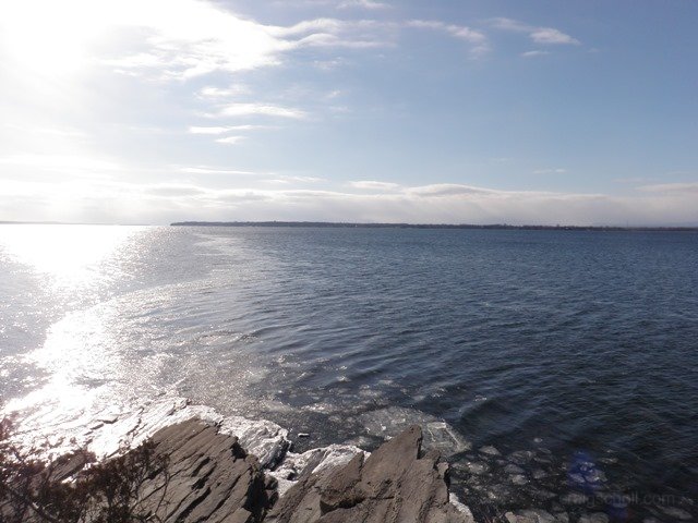 P1010016.jpg
