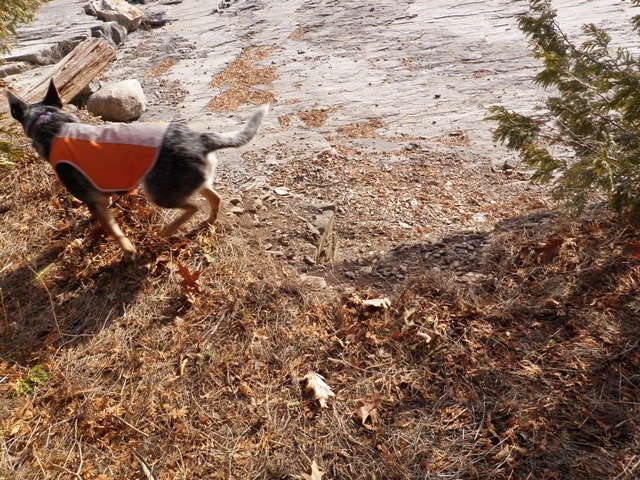 P1010021.jpg