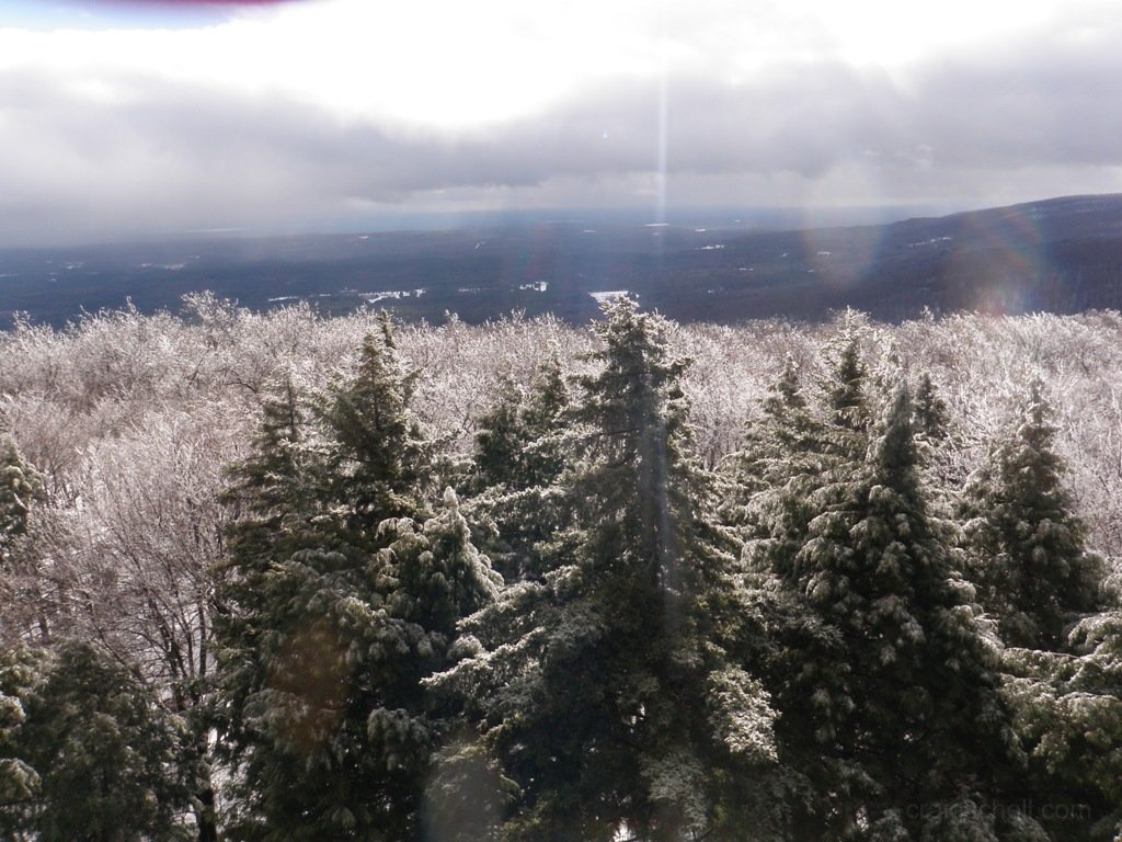 P1010021