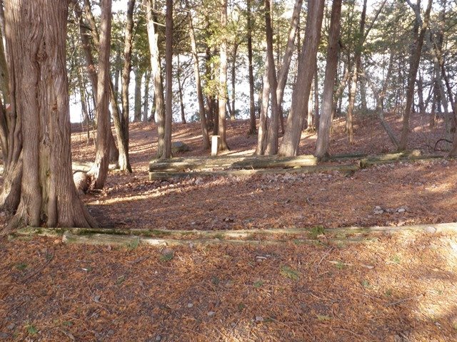 P1010025.jpg