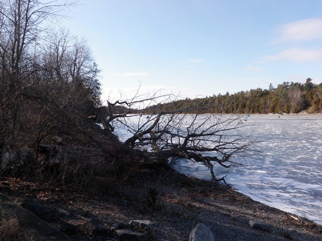 P1010027.jpg