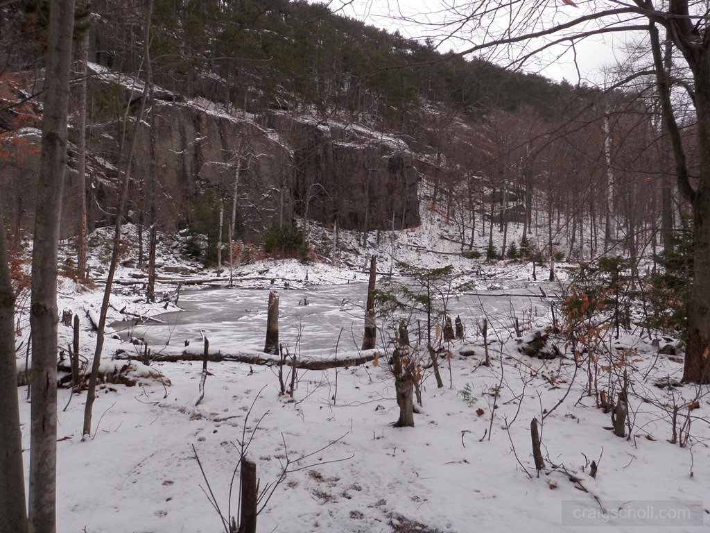 P1010027.jpg