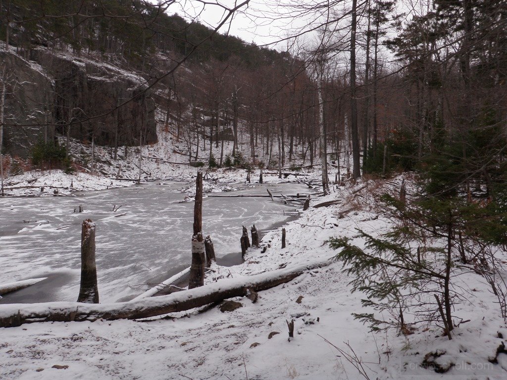P1010028.jpg