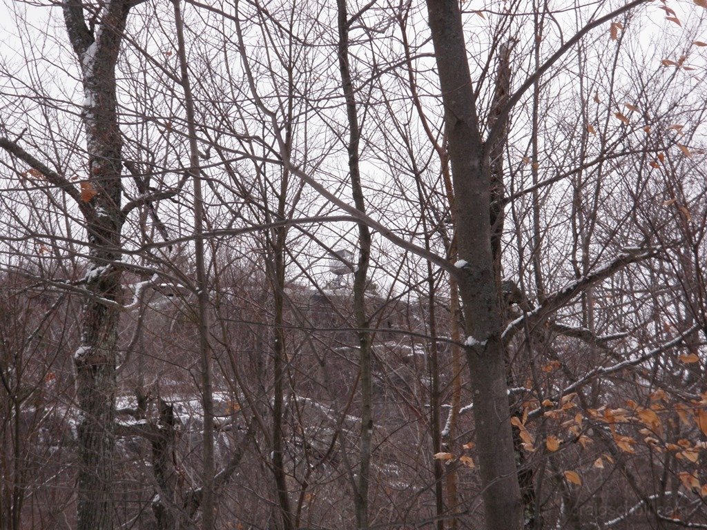 P1010031.jpg
