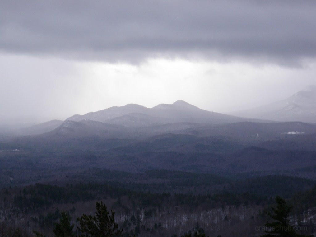P1010036.jpg