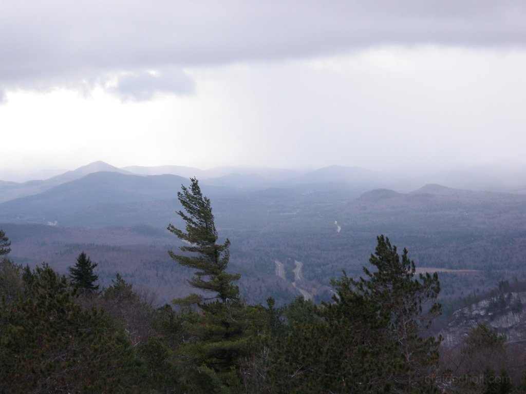 P1010037.jpg