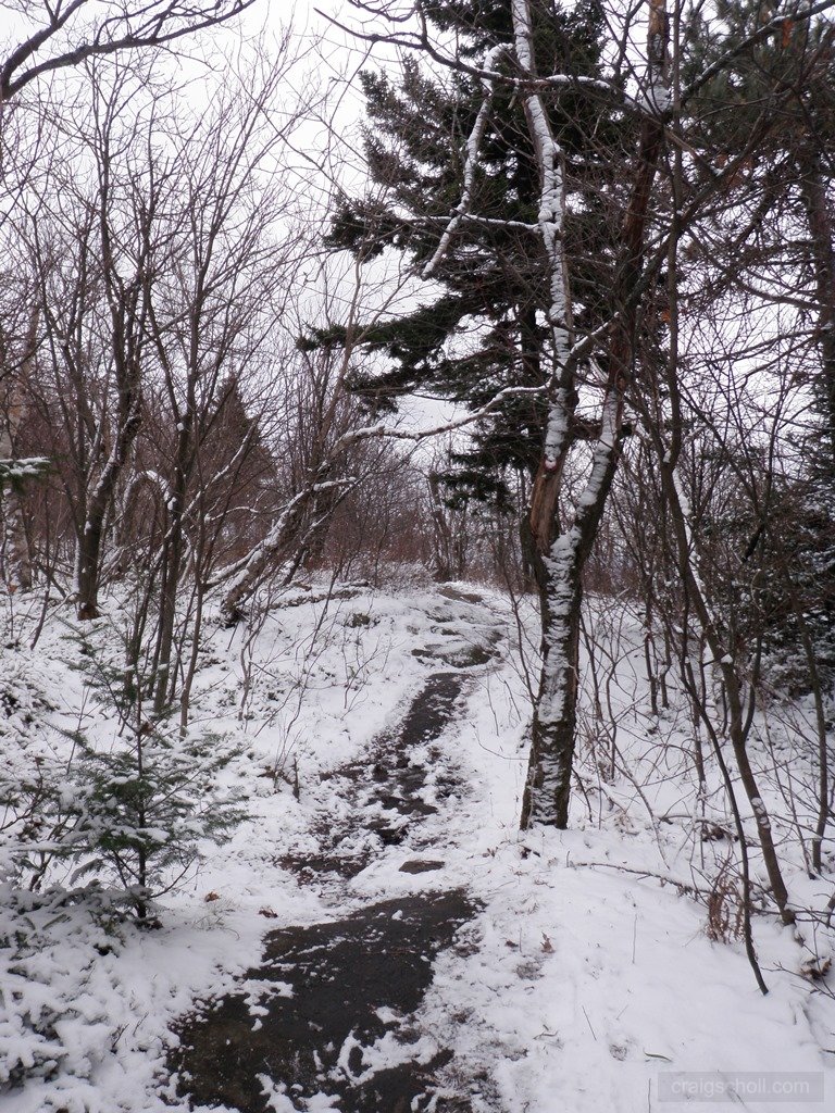 P1010040.jpg
