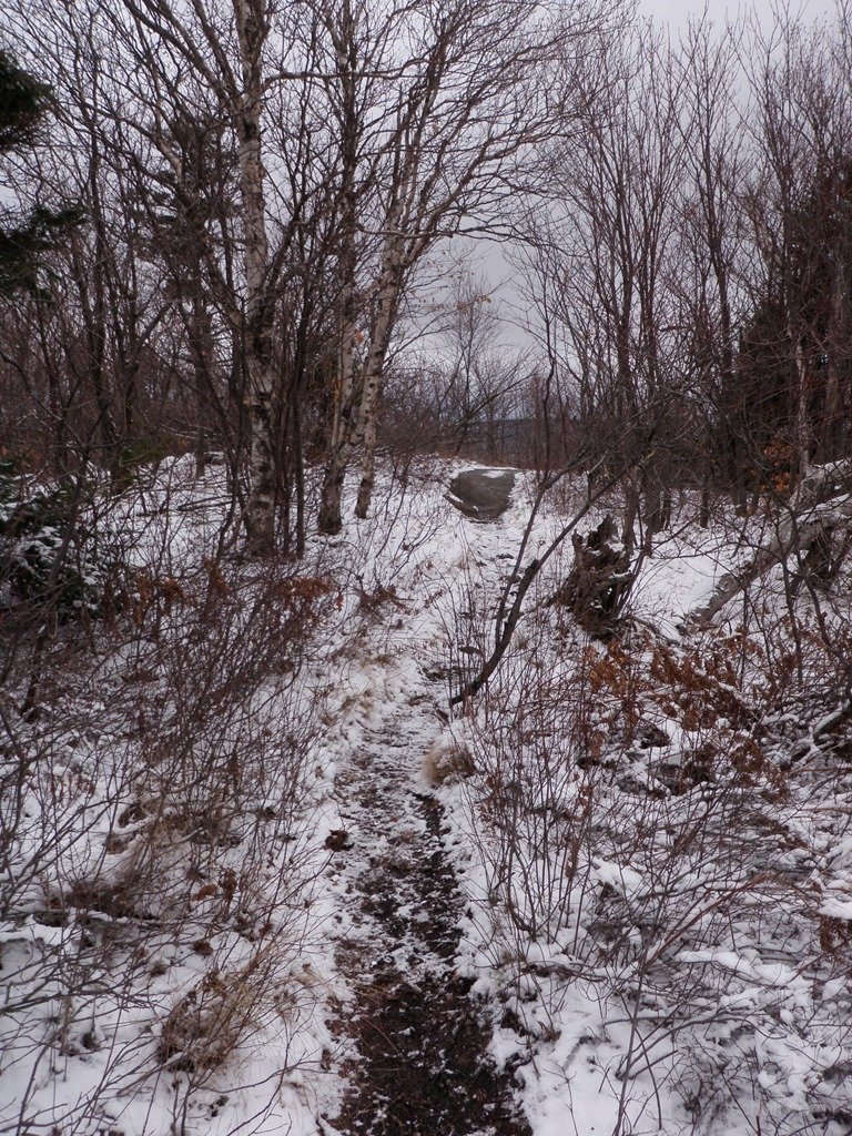 P1010043.jpg