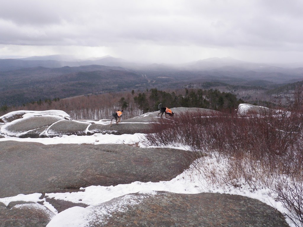 P1010046.jpg