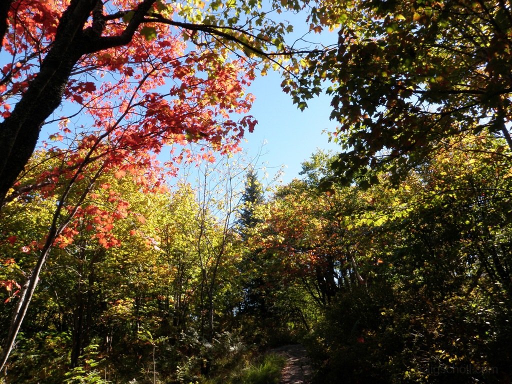 P1010114