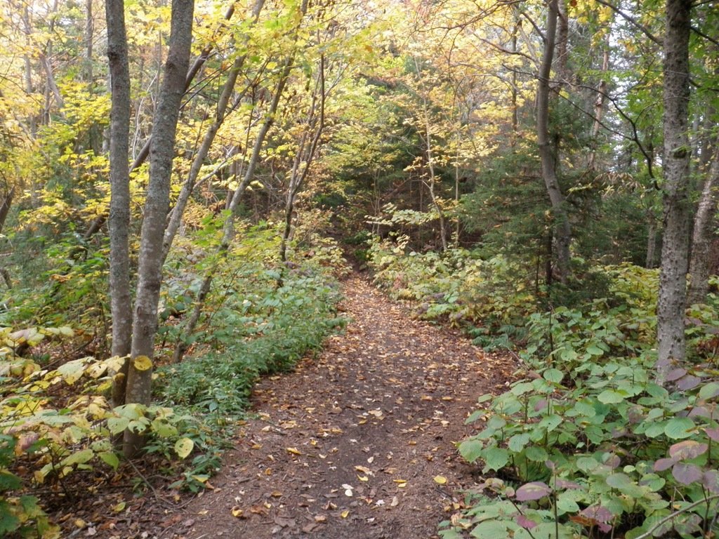 P1010179