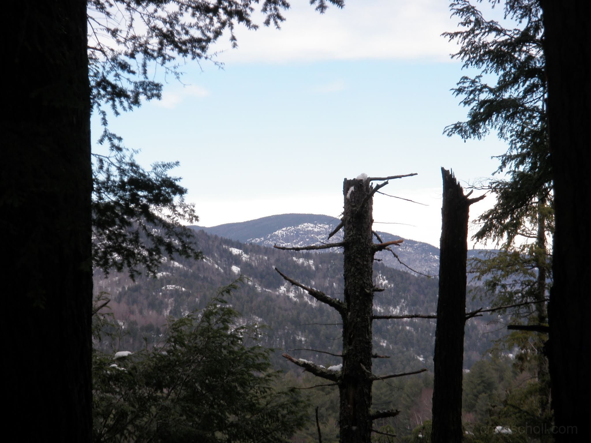 P1050001.jpg