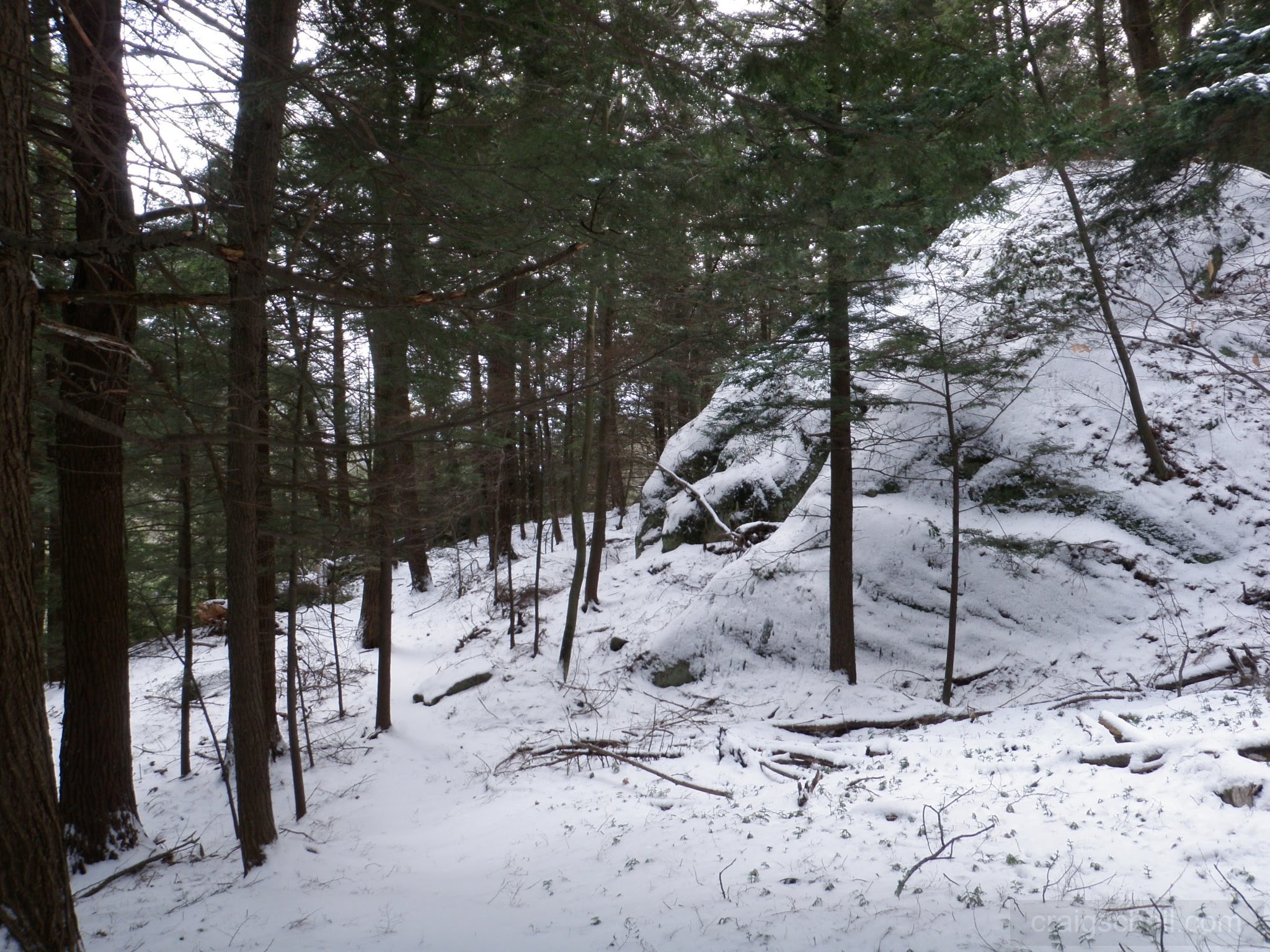 P1050004.jpg