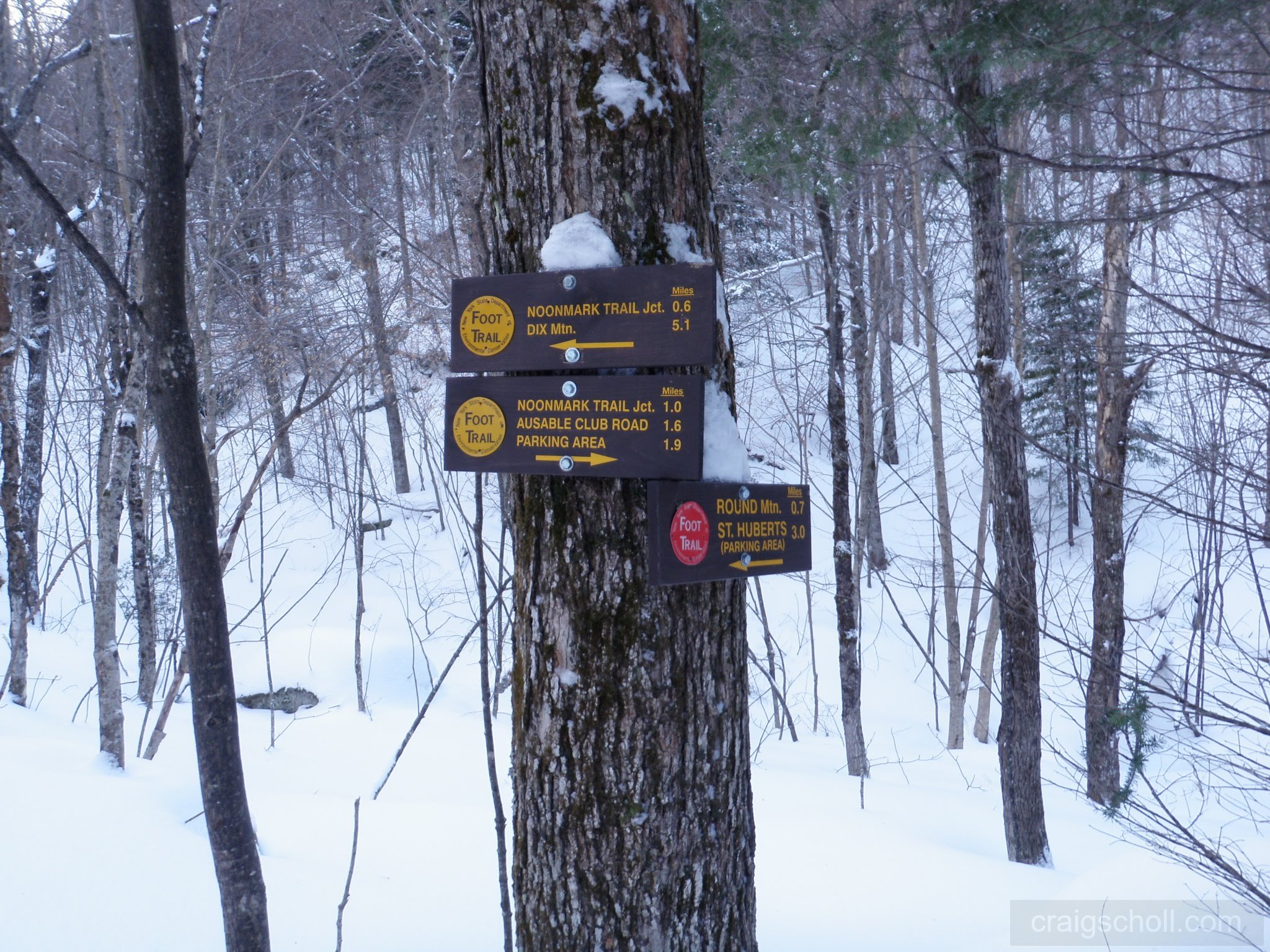 P1050031.jpg