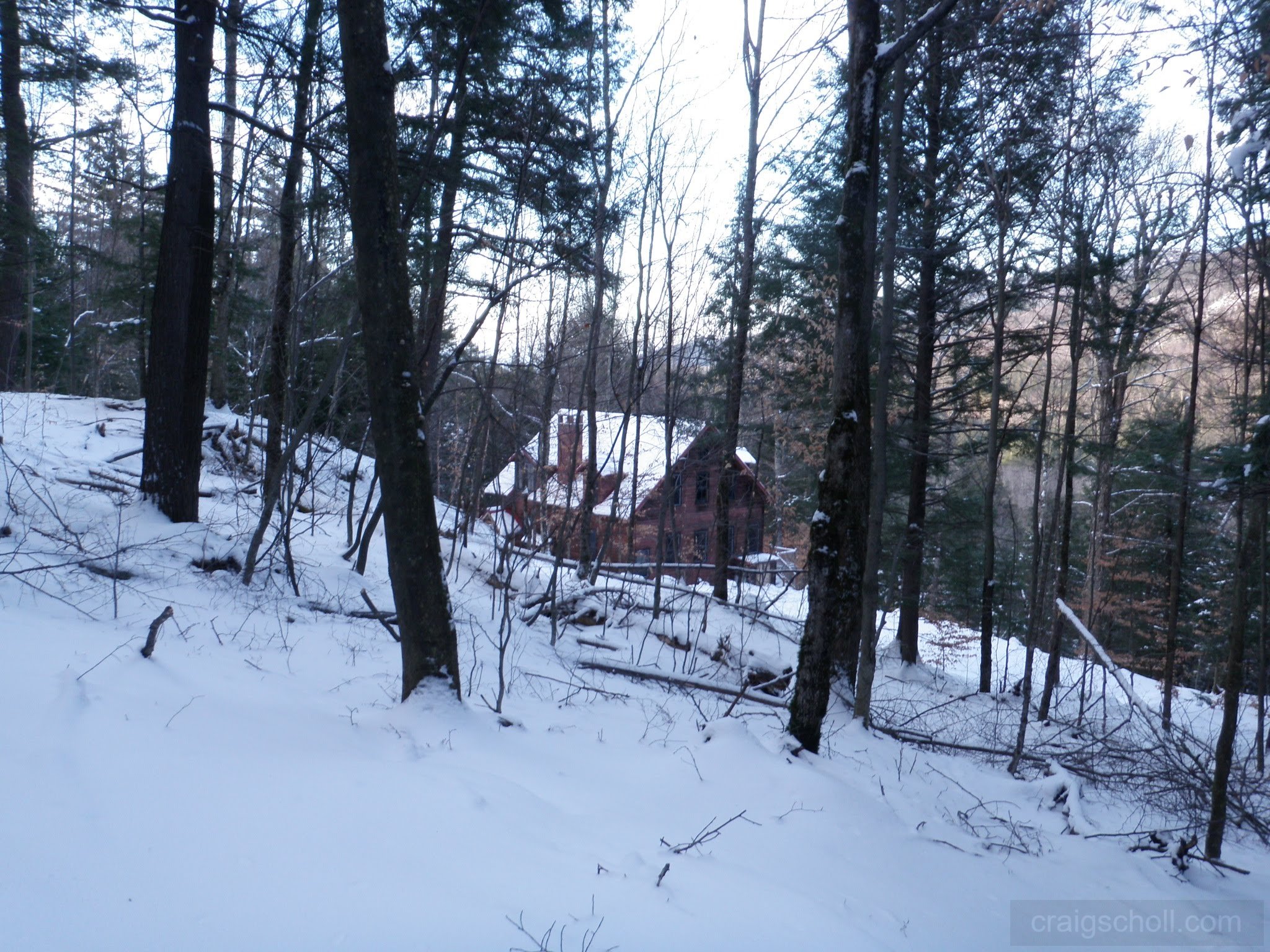 P1050035.jpg