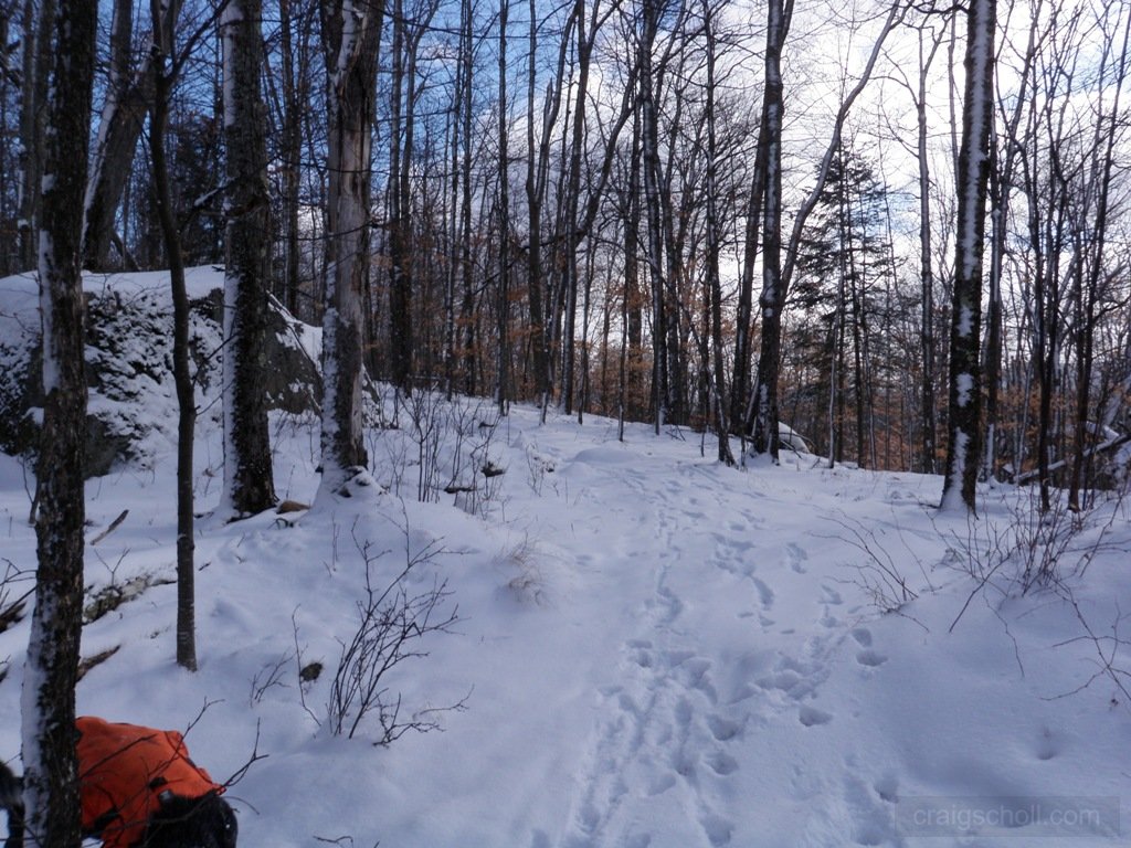 P1130047