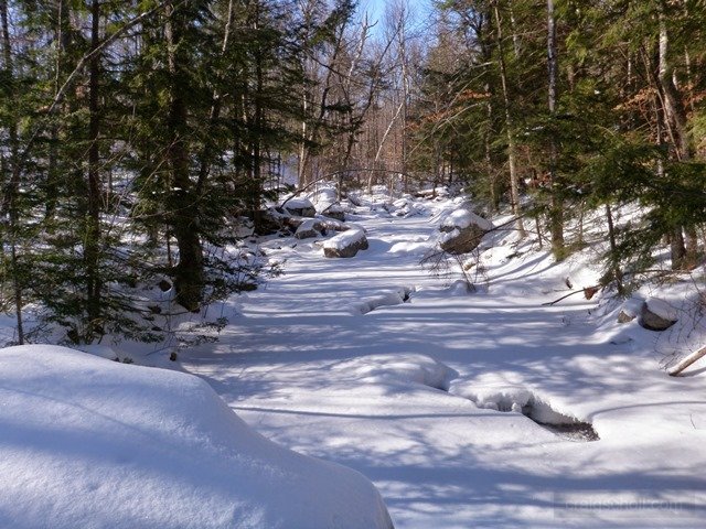 P2010003.jpg