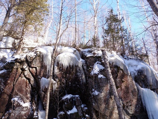 P2010009.jpg